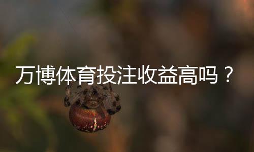 万博体育投注收益高吗？真实收益、风险与盈利策略全方位解析