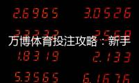 万博体育投注攻略：新手入门、实战玩法与投注技巧
