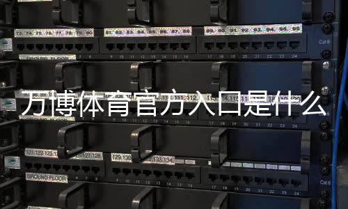 万博体育官方入口是什么？官网登录注册教程与安全验证全攻略