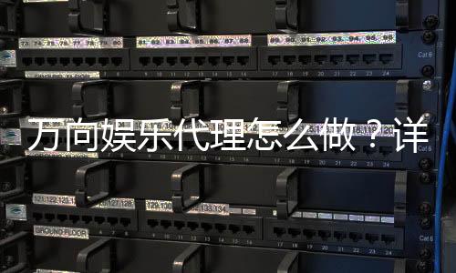 万向娱乐代理怎么做?详细申请流程与盈利技巧分享