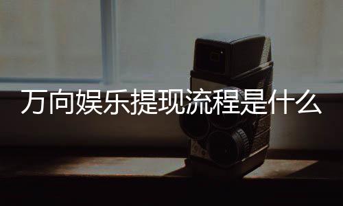 万向娱乐提现流程是什么？详细步骤与到账时间解析