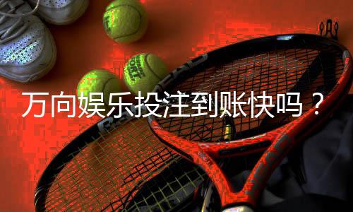 万向娱乐投注到账快吗?实测到账速度与提款技巧分享
