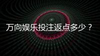 万向娱乐投注返点多少？揭秘高返点福利与实战技巧