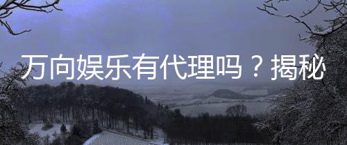 万向娱乐有代理吗?揭秘代理加盟条件与流程