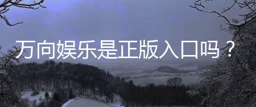 万向娱乐是正版入口吗?揭秘平台资质与安全玩法指南