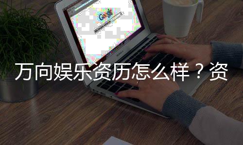 万向娱乐资历怎么样?资深玩家深度解析平台实力与特色