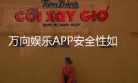 万向娱乐APP安全性如何？深度解析其资金保障与数据防护措施