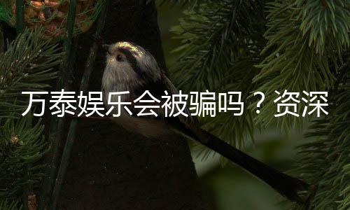 万泰娱乐会被骗吗?资深玩家揭秘防骗技巧与平台安全性