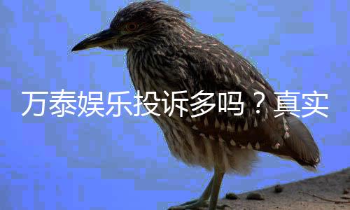 万泰娱乐投诉多吗?真实玩家反馈与投诉渠道解析