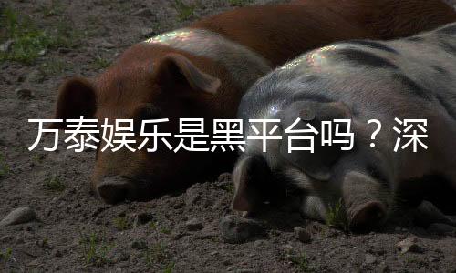 万泰娱乐是黑平台吗?深度解析其信誉与玩家真实体验