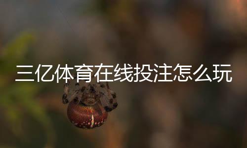 三亿体育在线投注怎么玩?新手注册、充值、玩法与安全攻略
