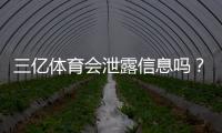 三亿体育会泄露信息吗？隐私安全真相与用户防护指南
