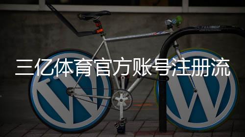 三亿体育官方账号注册流程详解:新手必看步骤与常见问题