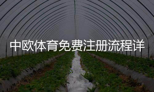 中欧体育免费注册流程详解:快速完成注册、验证及注意事项