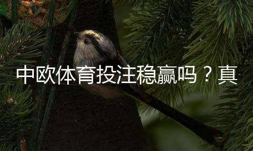 中欧体育投注稳赢吗?真相揭秘与风险防范指南