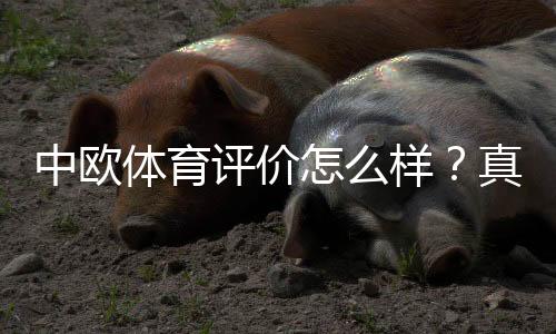 中欧体育评价怎么样?真实用户口碑、平台信誉与风险全面解析