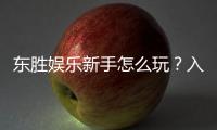 东胜娱乐新手怎么玩？入门指南与实战技巧分享
