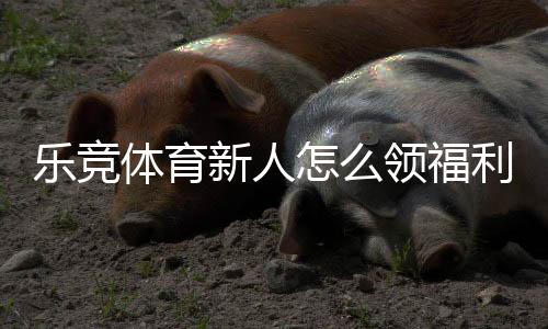 乐竞体育新人怎么领福利？注册、认证到领取全流程攻略与常见问题