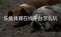 乐鱼体育在线平台怎么玩？新手注册、充值、玩法与安全使用全攻略