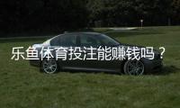乐鱼体育投注能赚钱吗？真实盈利可能性、风险评估与新手实操指南