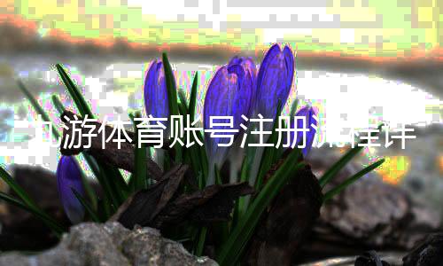 九游体育账号注册流程详解:手机电脑图文步骤、实名认证与常见问题