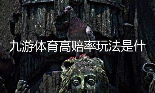 九游体育高赔率玩法是什么意思？新手入门攻略、投注技巧与风险控制