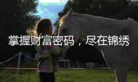 掌握财富密码，尽在锦绣国际