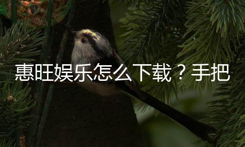 惠旺娱乐怎么下载?手把手教你快速安装畅玩