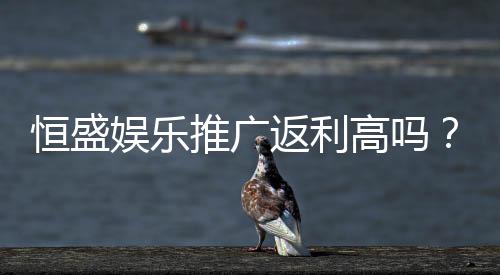 恒盛娱乐推广返利高吗?资深玩家揭秘真实返利比例与优惠活动