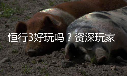 恒行3好玩吗?资深玩家带你揭秘真实体验与赢钱技巧