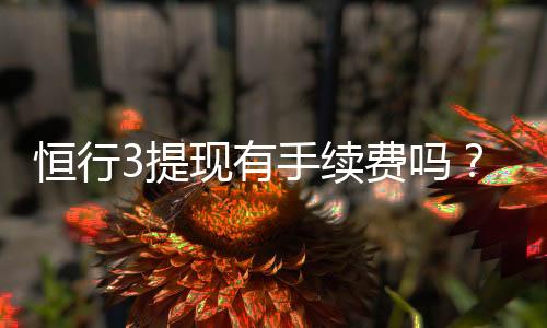 恒行3提现有手续费吗?详解平台提现规则与费用标准