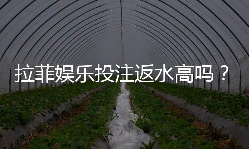 拉菲娱乐投注返水高吗?揭秘高返水福利与实战技巧