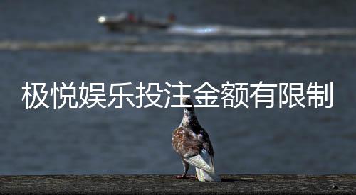 极悦娱乐投注金额有限制吗?平台限额规定与玩法解析