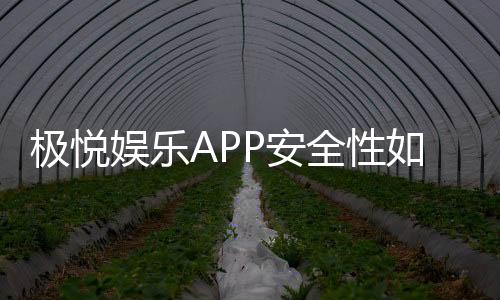 极悦娱乐APP安全性如何?深度解析其资金保障与数据防护措施