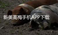 新美高梅手机APP下载：畅享豪华娱乐体验与惊喜优惠