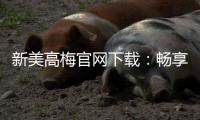 新美高梅官网下载：畅享顶级娱乐体验与安全下载指南