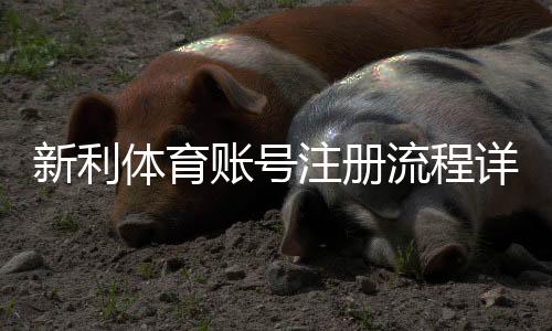 新利体育账号注册流程详解：新手快速完成开户与实名认证