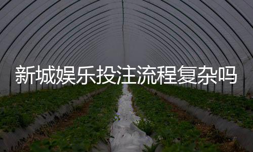新城娱乐投注流程复杂吗?3分钟带你快速掌握全步骤