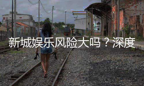新城娱乐风险大吗?深度解析其安全性及玩家应对策略
