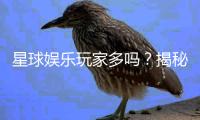 星球娱乐玩家多吗？揭秘平台真实人气与玩家体验