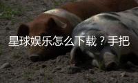 星球娱乐怎么下载？手把手教你快速安装畅玩攻略