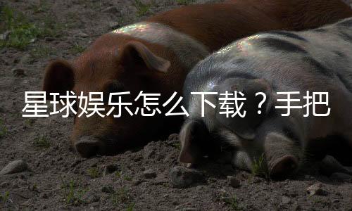 星球娱乐怎么下载?手把手教你快速安装畅玩攻略