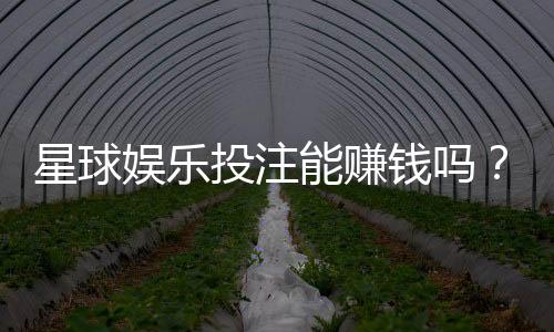 星球娱乐投注能赚钱吗?揭秘真实盈利模式与风险把控