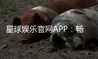 星球娱乐官网APP：畅享顶级棋牌电游的尊贵体验