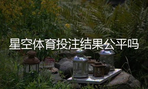 星空体育投注结果公平吗？公正性深度评测与玩家反馈解析