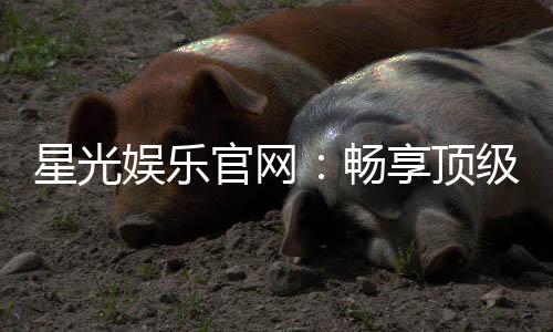 星光娱乐官网:畅享顶级棋牌电游的豪华盛宴