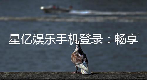 星亿娱乐手机登录:畅享移动端棋牌游戏的极致体验