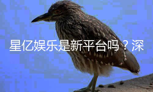 星亿娱乐是新平台吗?深度解析其背景与游戏体验