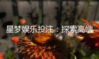 星梦娱乐投注：探索高端博彩体验与赢利秘籍