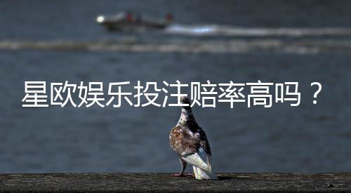 星欧娱乐投注赔率高吗?资深玩家揭秘真实回报率与技巧